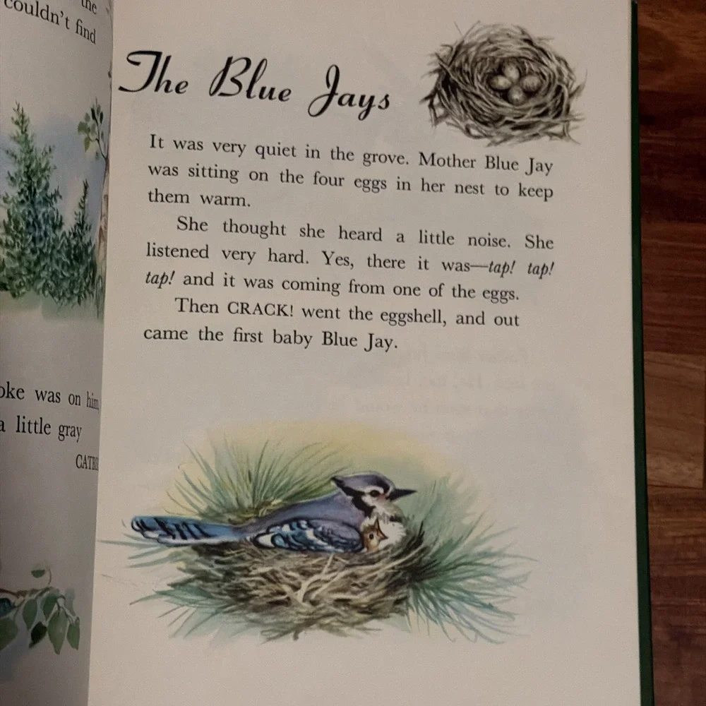 Vintage 1950 Junior Elf Book- Johnny and the Birds by Ian Munn, Rand McNally